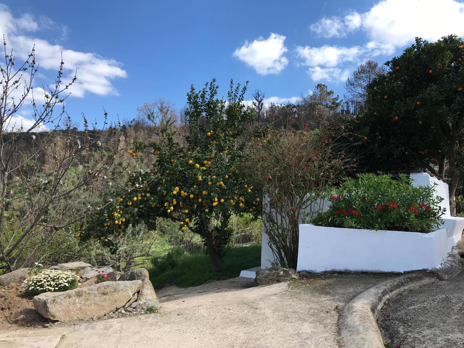 Casas Bemposta Villa Monchique Dış mekan fotoğraf
