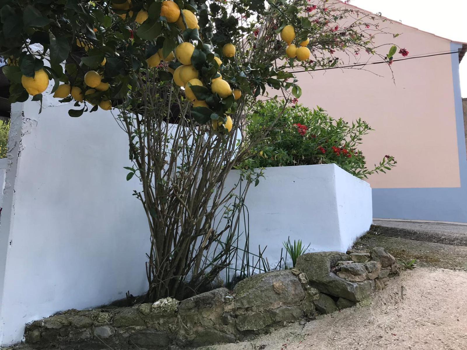 Casas Bemposta Villa Monchique Dış mekan fotoğraf