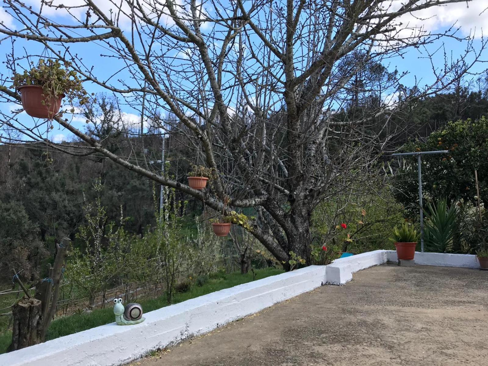 Casas Bemposta Villa Monchique Dış mekan fotoğraf