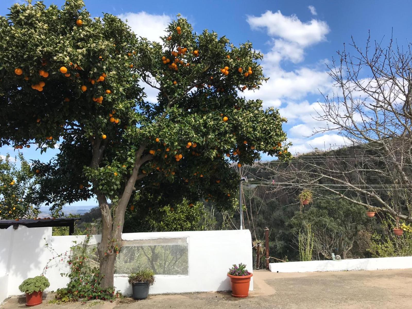 Casas Bemposta Villa Monchique Dış mekan fotoğraf