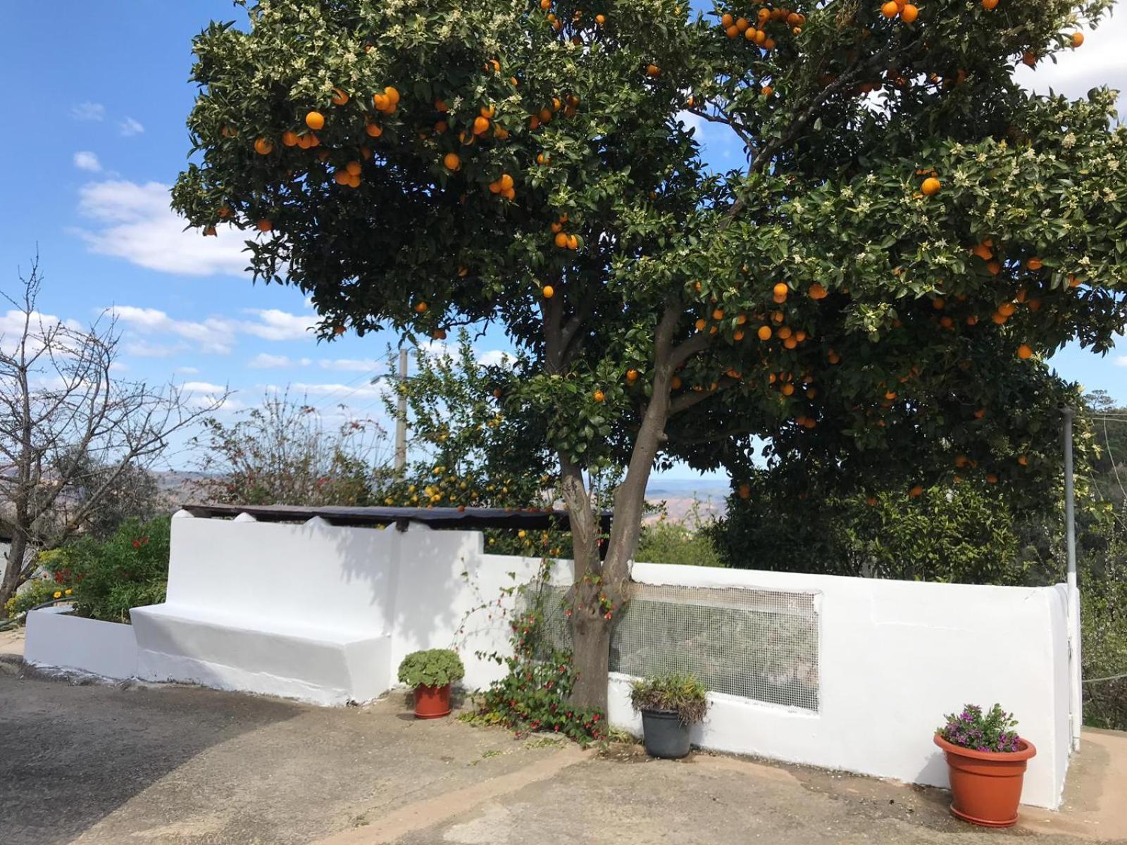 Casas Bemposta Villa Monchique Dış mekan fotoğraf