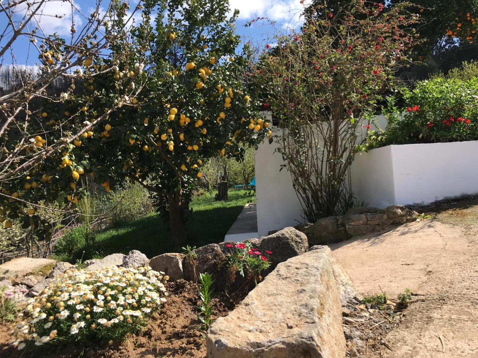 Casas Bemposta Villa Monchique Dış mekan fotoğraf