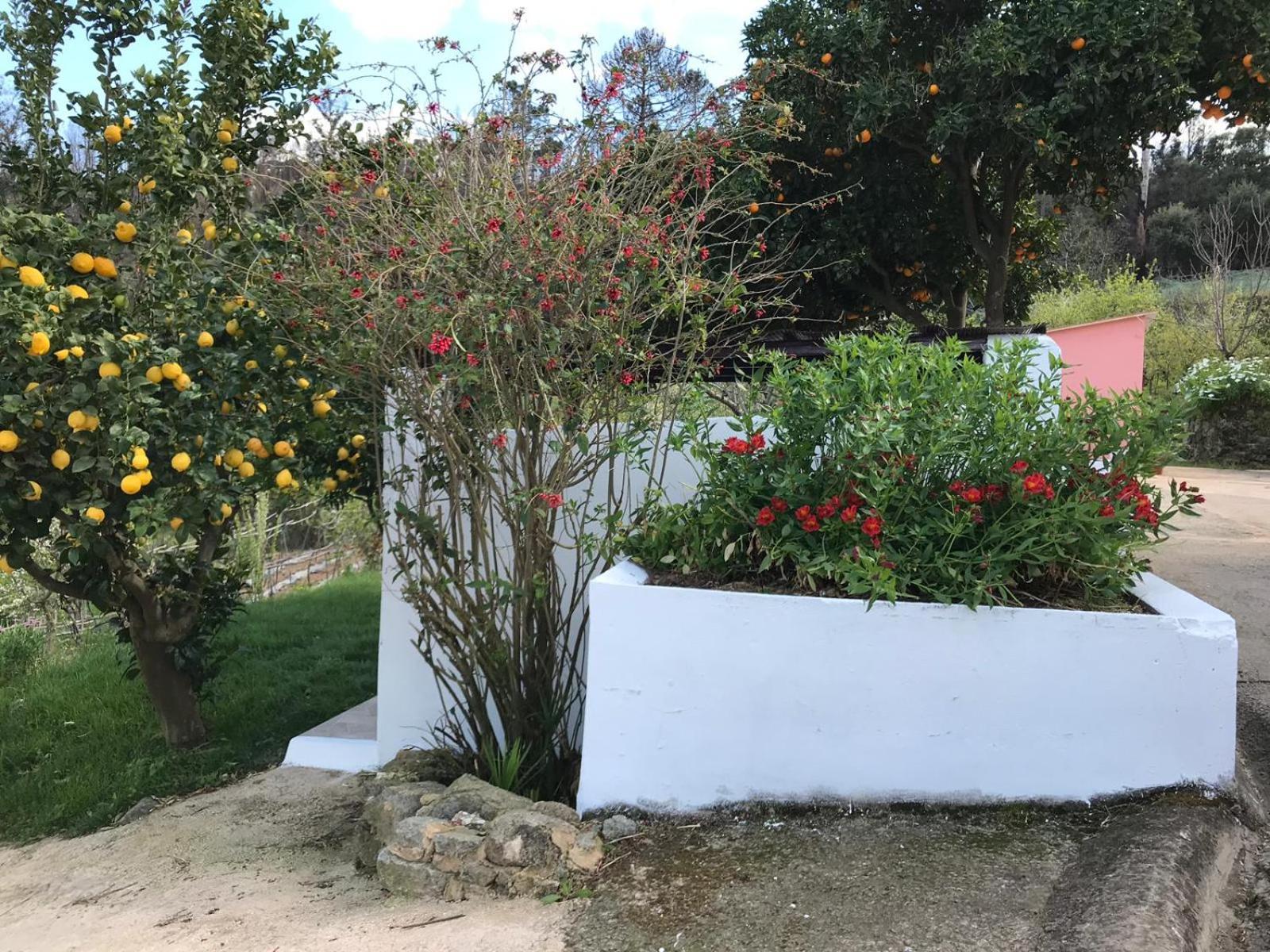 Casas Bemposta Villa Monchique Dış mekan fotoğraf